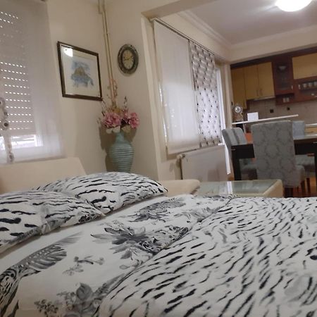 Spacious 80M2 Apartment In The Center Ljubuški Εξωτερικό φωτογραφία
